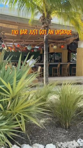 4.9K views · 60 reactions | Introducing the Tiki Bar’s new menu, crafted with fresh flavors and island ease. Dig into tuna nachos, ribs, fish & chips, and more while enjoying the laid-back atmosphere and stunning views of Three Waters Resort. Whether it’s a casual bite after the beach or a leisurely evening by the water, the Tiki Bar is the place to gather, savor, and unwind. | Three Waters Resort & Marina | Facebook