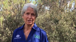 1.5K views · 80 reactions | Australia has 1,100 plants endangered...