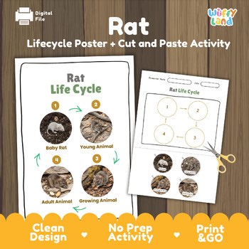 Rat Life Cycle Activity Worksheet | Animal Life Cycles Poster | Cut and Paste
