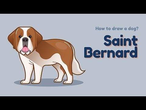 How to draw a dog - Saint Bernard? Easy and simple drawing | Animal character design tutorial