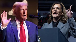 Election 2024: Which Stars Endorsed Kamala Harris vs. Who Backed Donald Trump | THR News Video