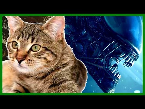 Alien: el octavo pasajero (1979) - ¿Por qué el alien no mató al gato? - Humor - Análisis