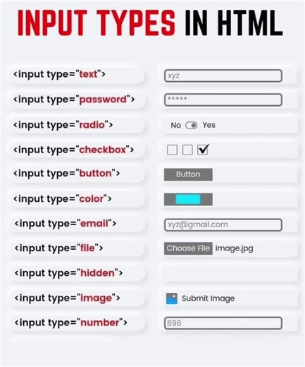 HTML Input Types: A Comprehensive Guide for Web Developers