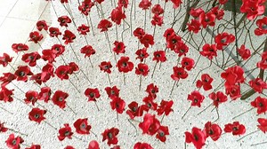 15K views · 595 reactions |  Spectacular drone footage of Weeping Window by Paul Cummins & Tom Piper at the Ulster Museum. Here until 3rd December, there's still time to see this poignant installation. #poppiestour | Discover Northern Ireland | Facebook