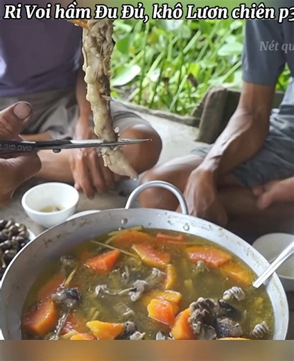 Rắn Ri Vôi hầm Đu Đủ p3. #netque #nauan #monandanda #amthucmientay #monanmientay