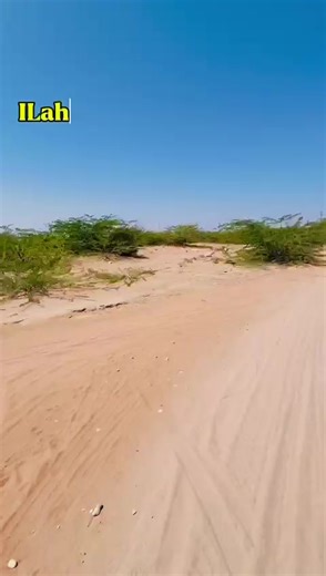 Ayeeyo Arda xaashi Waxa ka xanuun sanaya Labo nin oo xaga maskaxda ah Ayeeyo ardo Laftigeedu wey xanuun san Umada soomaliyeed meel walba ay joogto waxay ka codsan in wax la soo taro oo inanka aadka u xanuun san ee silsilada ku xidhan dhakhtar loo geeyo si xaaladisa loo dabibo Qofkii u baahan in uu caawiyo ha kala xidhiidho 06361913357 AMA hadii kale anaga hanala soo xidhiidho