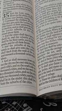 Numbers Chapter 35:1-34 Daily Bible Reading #biblestudy #dailybiblestudy #wordofGod #Bible #fyp