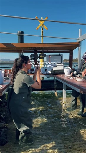 How to Master Oyster Shucking Techniques