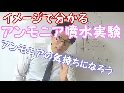【中学理科】アンモニア噴水実験～アンモニアの気持ちで考える～ 2-6【中１理科】
