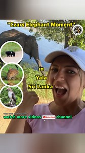 Yala National Park 🇱🇰🐾️ Sri Lanka Wild Safari Vibes You Can’t Miss 🔰 Experience the wild heart of #Yala National Park in #Sri Lanka 🌿🐘 From epic #jungle views to real #safari vibes, Yala is one of the best #wildlife parks in Asia. Famous for #leopards , #elephants , #birds , and raw nature moments, this park is pure #adventure . If you love travel, nature, #animals , and real jungle energy — this video is for you. Perfect for safari lovers, travel fans, and Gen Z explorers. 🔰 yala nationa