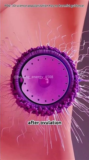 How conception works? #drone #doctor #theflash #science
