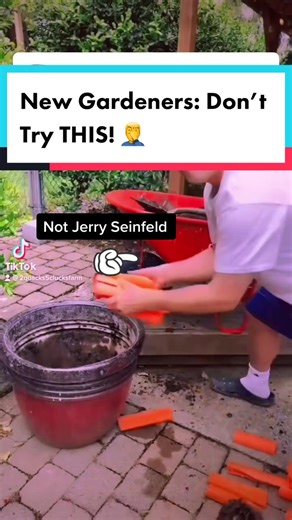 The Impact of Styrofoam in Soil on Plants: What You Need to Know