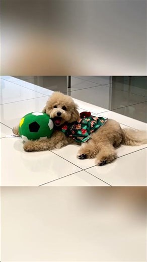 She Thinks Every Ball Belongs To Her