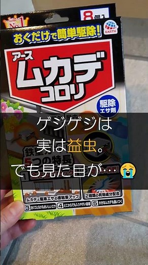 家の中ゲジゲジ対策【4.6万回再生🎉】全部試して一番効いた最強駆除方法