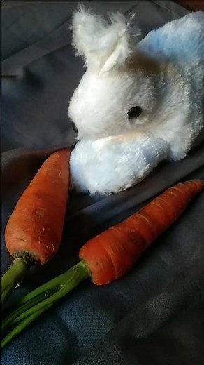 Peter rabbit eating carrot🥕#shorts #cartoon