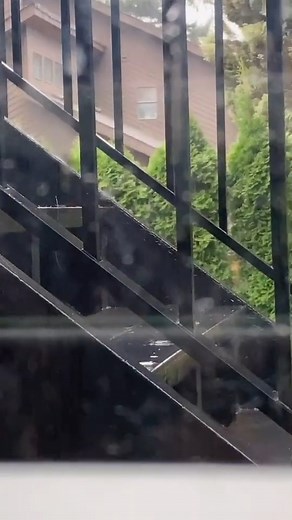 58K views · 2.1K reactions | The accuracy here is kind of sad. Team Edward. #twilight #vampire #childhood #reels #viral | Kallmekris | Facebook