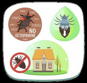 Watch How Green Bean Buddy Bug Killer Works