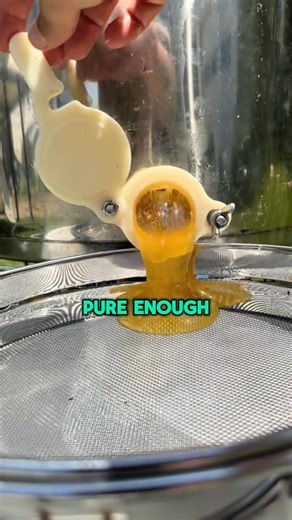 3.8K views · 22 reactions | This is the world’s most powerful honey…  it’s called The Jimerito also known as the most potent eye honey available in America.  You see this Honey was used for centuries to help combat eye issues and various types of internal problems. This honey really is a super food. 溺 Comment HONEY for the details of where to source the most potent Jimerito and more details and information on how to use and what it’s truly about | Getforceup | Facebook