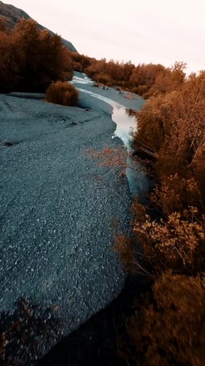 5.7K views · 90 reactions |  Let’s explore the untamed wilderness of...