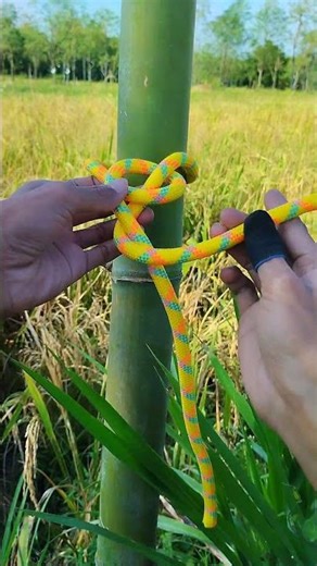 とても強く締まる素早い結び方