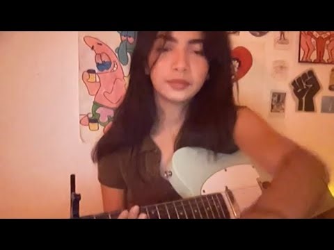 the bug collector - haley heynderickx ( cover )