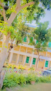 10K views · 593 reactions | Mathematics & Computer Science Departments University of sindh jamshoro | University of Sindh | Facebook