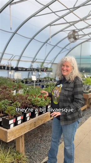 5.4K views · 99 reactions | It's that time of year again – peony...