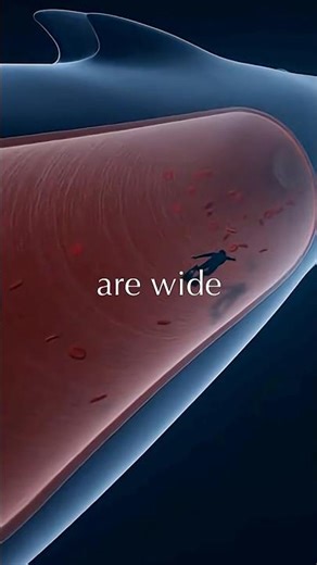 You Can Swim Inside whale #shorts #viralshorts