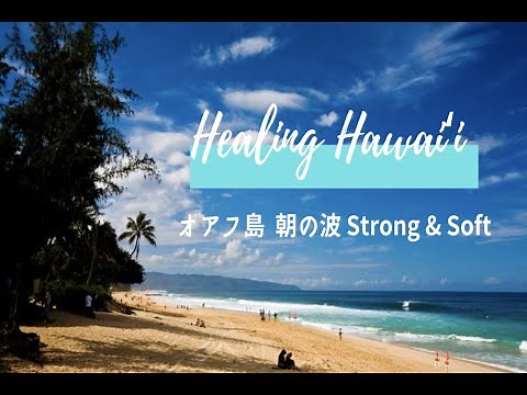 音で感じるハワイ〜オアフ島 朝の波 Strong & Soft〜