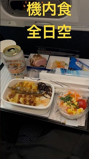 機内食！旅客機【全日空（ANA）便NH805便！成田空港→タイ・バンコクのスワナプーム国際空港】ボーイング787の機材ANA flight NH805 Tokyo to Bangkok