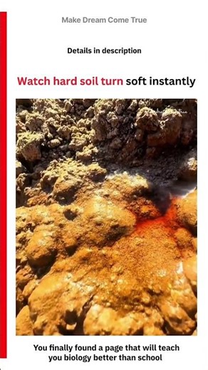 🪨 Watch hard soil turn soft instantly 🌱 | MDCT