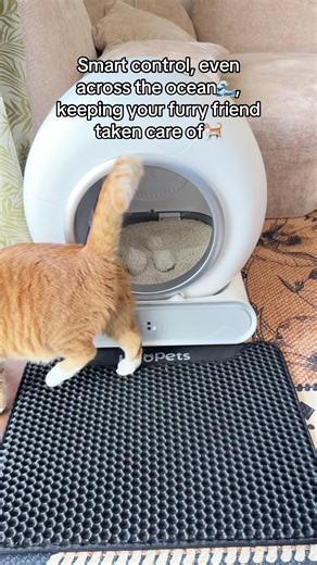 Self-Cleaning Cat Litter Box for Effortless Care