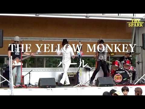 THE SPARK 「パール」「SPARK」/ THE YELLOW MONKEY コピーバンド【Live video from 末廣農場四周年記念ライブ】