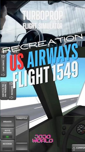 TFS : Recreation US Airways Flight 1549 Part II