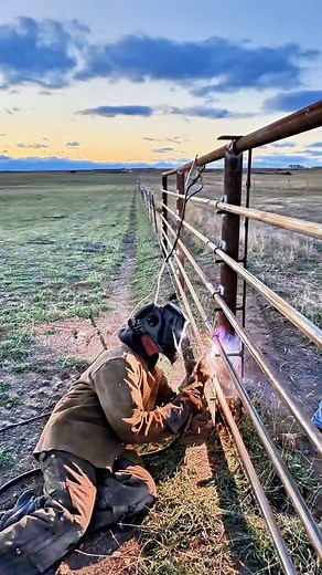 5.8K views · 1.8K reactions | Building the alleyway around the calving pasture has been a big job. Amazing how much work it is. #cow #calves #welding #cattle #farmlife | 1HandnFarming | Facebook