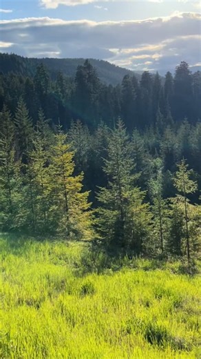 Loving the bike life so far😆 ive got too see some awesome things already cant wait for the rest of the summer🤪🖤