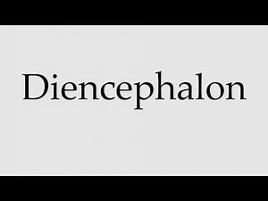 How to Pronounce Diencephalon