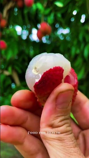 Lychee Benefits 🍒 | Sweet Superfruit for Skin, Immunity & Heart