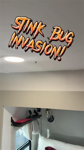 Stink Bug RV Invasion!
