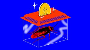 These People Make Thousands a Month Selling Live Roaches on eBay