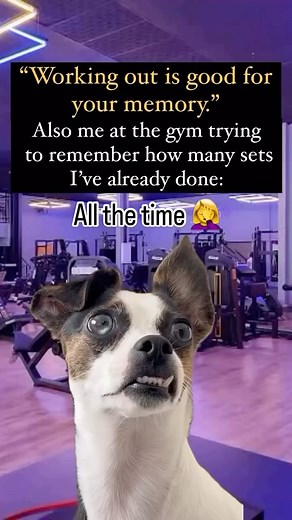 ‎Sarah سارا - 🧘‍♀️‎ on Instagram: "#reels #reel #memory #viral #gym"