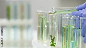 Scientist adding special liquid to test tube with ferment to make useful extract