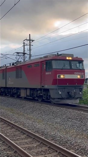 2025.6.12 8056レスジ 長万部レール輸送返却#8056レ#eh500#eh500金太郎#レール輸送#ロングレール#日鉄チキ#チキ#ロングレール輸送#青い森鉄道