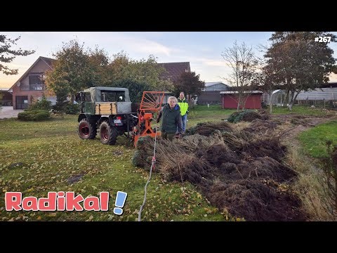 Clear-cutting with the Unimog 411 | Winch | Replacing the rear power lift cylinder | oldtimer_junkie