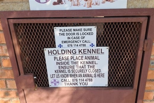 Virginia SPCA’s Overnight Kennels for Pets in Crisis