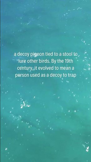 Popular Idioms: Stool pigeon