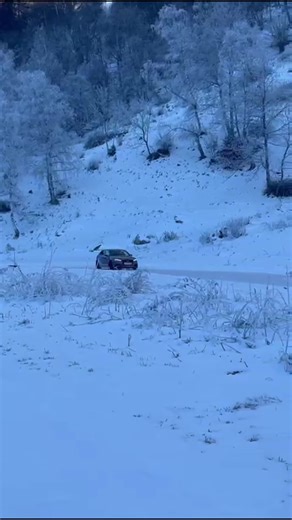 #rs3mtm #audi #quertreiben @MrMister