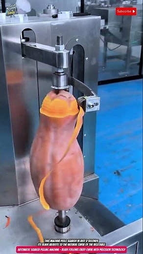 Automatic Squash Peeling Machine – Blade Follows Every Curve with Precision Technology