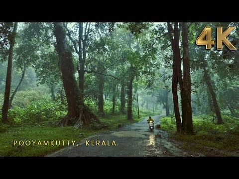 [4K] Walking in a Forest Village in Heavy Rain ☔ | Pooyamkutty, Kerala | Monsoon Ambience Walk