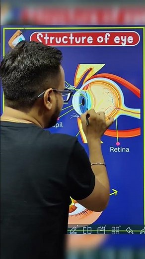 Structure of Human Eye Class 10 Science #cbseclass10 #class10science #cbse2024